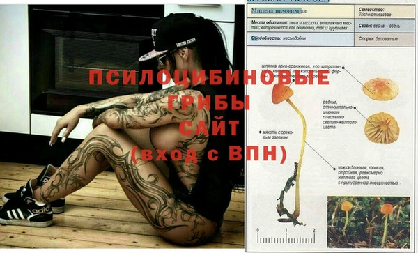 трава Абдулино