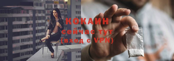 хмурый Алзамай